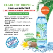 Очищающий спрей для игрушек CLEAR TOY Tropic - 100 мл. - Биоритм - купить с доставкой в Вологде