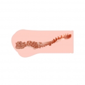 Мастурбатор-вагина Monica без вибрации - KOKOS - в Вологде купить с доставкой