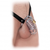 Кольцо верности Extreme Chastity Belt с фиксацией головки - Pipedream - купить с доставкой в Вологде