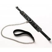 Черный ошейник с шипами и поводком - Crazy Handmade - купить с доставкой в Вологде