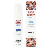 Возбуждающий гель Raspberry Mint с ароматом малины и мяты - 15 мл. - Exsens - купить с доставкой в Вологде