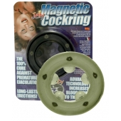 Эрекционное кольцо с магнитиками - Seven Creations - в Вологде купить с доставкой