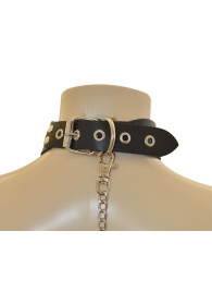 Ошейник  Веселый Роджер - Sitabella - купить с доставкой в Вологде