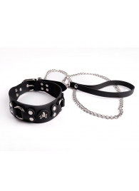 Ошейник  Веселый Роджер - Sitabella - купить с доставкой в Вологде