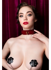 Красный ошейник из лакированного материала - ToyFa - купить с доставкой в Вологде