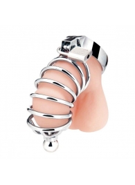 Серебристая клетка для члена Urethral Play Cage - BlueLine - купить с доставкой в Вологде