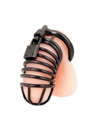 Черная металлическая клетка с замком Deluxe Chastity Cage - BlueLine - купить с доставкой в Вологде