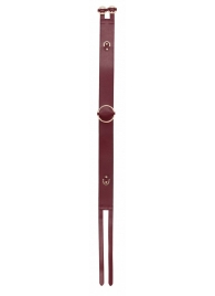 Бордовый ремень Halo Waist Belt - размер L-XL - Shots Media BV - купить с доставкой в Вологде