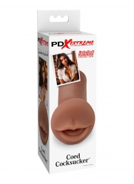 Мастурбатор-ротик Coed Cocksucker - Pipedream - в Вологде купить с доставкой