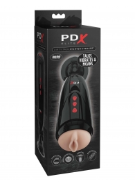 Мастурбатор-вагина с вибрацией Dirty Talk Starter Stroker - Pipedream - в Вологде купить с доставкой