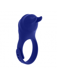 Синее эрекционное виброкольцо с клиторальной подушечкой и пультом ДУ Adjustable Fun Ring - Zero Tolerance - в Вологде купить с доставкой