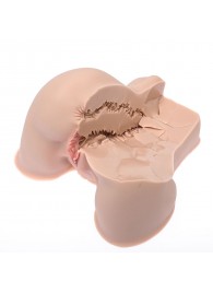 Мастурбатор-полуторс Naked Factory Kate - Naked Factory - в Вологде купить с доставкой