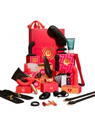 Адвент-календарь Lovehoney Couple’s Advent Calendar 2025 - We-vibe - купить с доставкой в Вологде