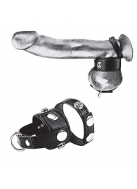Утяжка для мошонки и пениса Cock Ring With 1  Ball Stretcher And Optional Weight Ring - BlueLine - купить с доставкой в Вологде