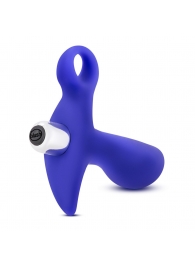 Синий стимулятор простаты с ручкой-кольцом Performance Prostimulator 02 - Blush Novelties - в Вологде купить с доставкой