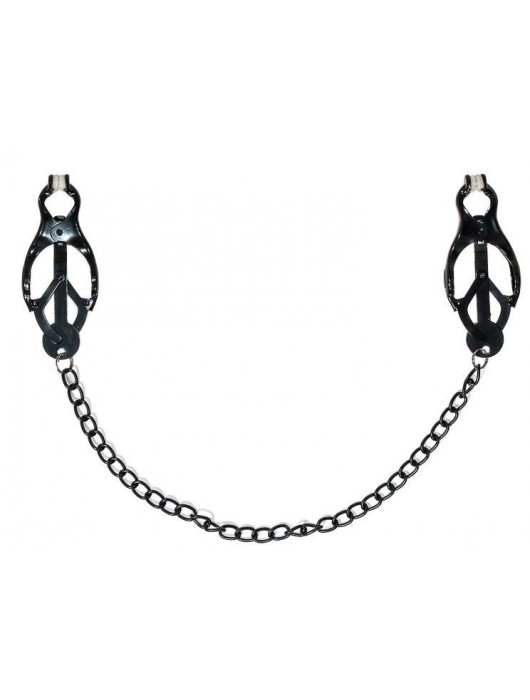 Зажимы на соски Darkside с цепочкой - Lola Games - купить с доставкой в Вологде