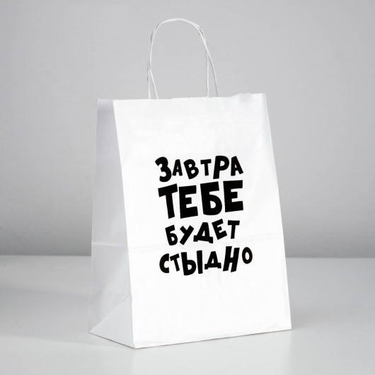 Подарочный пакет  Завтра тебе будет стыдно  - 30 х 24 см. - UPAK LAND - купить с доставкой в Вологде