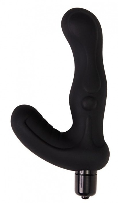 Черный вибромассажер простаты Titan - 15 см. - Le Frivole - в Вологде купить с доставкой