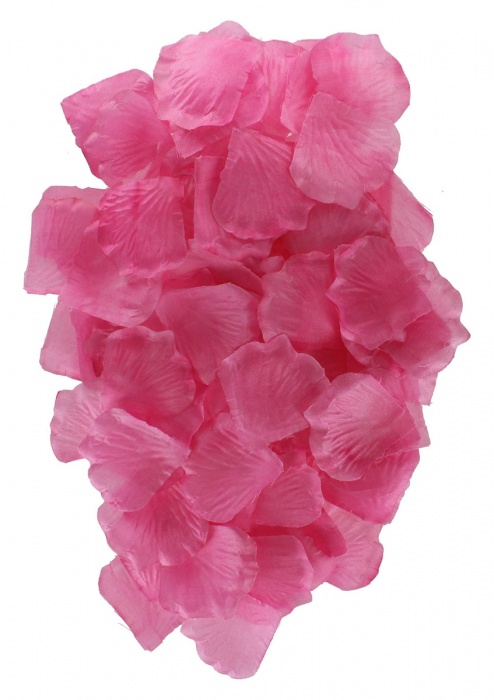 Эротический набор FANTASTIC PURPLE SEX TOY KIT - Toy Joy - купить с доставкой в Вологде