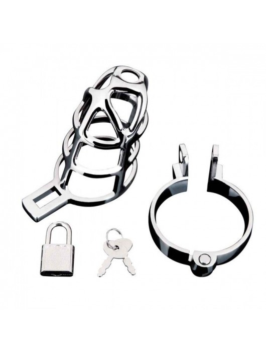 Серебристая металлическая клетка для члена с замком Enslave Cock Cage - BlueLine - купить с доставкой в Вологде
