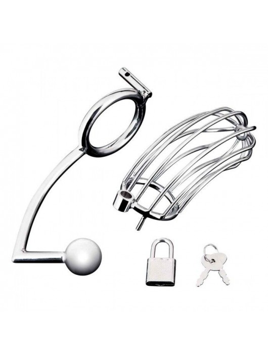 Серебристая металлическая клетка с анальным стимулятором Cock Cage - BlueLine - купить с доставкой в Вологде