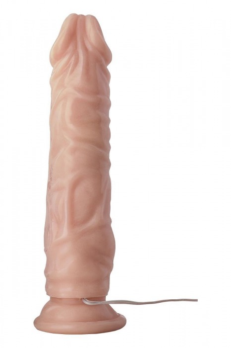 Телесный вибромассажер Lovely Lord - 21,5 см. - Dream Toys