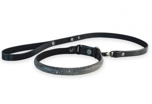 Эффектный сверкающий ошейник с поводком  Гламур - Sitabella - купить с доставкой в Вологде