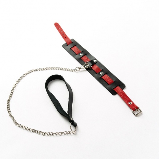 Черный ошейник с красным ремешком и поводком - Crazy Handmade - купить с доставкой в Вологде