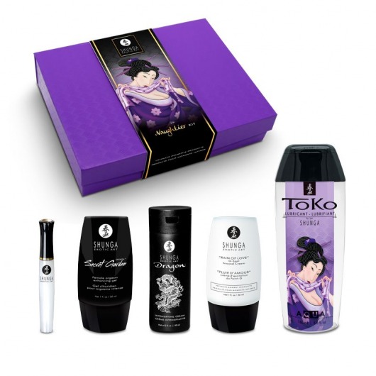 Подарочный набор Naughter Kit - Shunga - купить с доставкой в Вологде