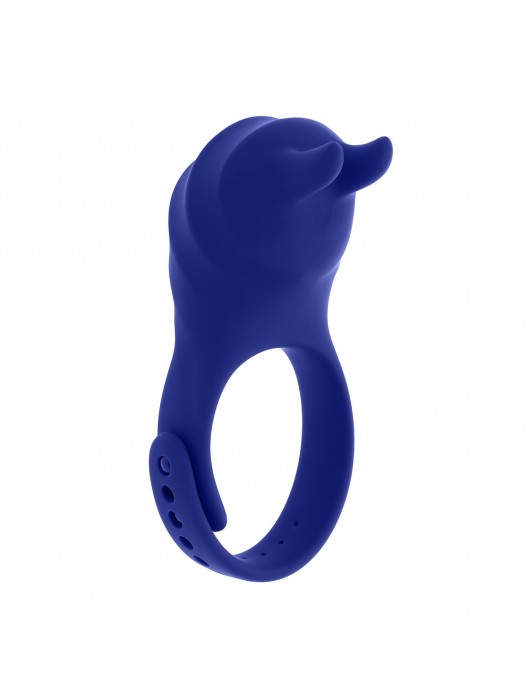 Синее эрекционное виброкольцо с клиторальной подушечкой и пультом ДУ Adjustable Fun Ring - Zero Tolerance - в Вологде купить с доставкой