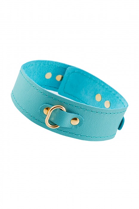 Голубой кожаный однослойный ошейник с прошивкой - Pecado - купить с доставкой в Вологде