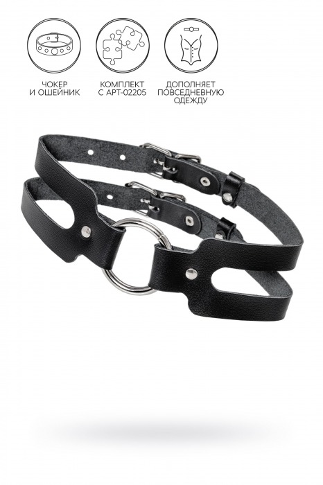 Черный кожаный чокер-ошейник из двух ремешков - Pecado - купить с доставкой в Вологде