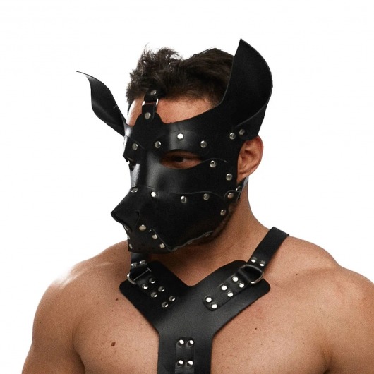 Черная кожаная маска «Собака» - Crazy Handmade - купить с доставкой в Вологде