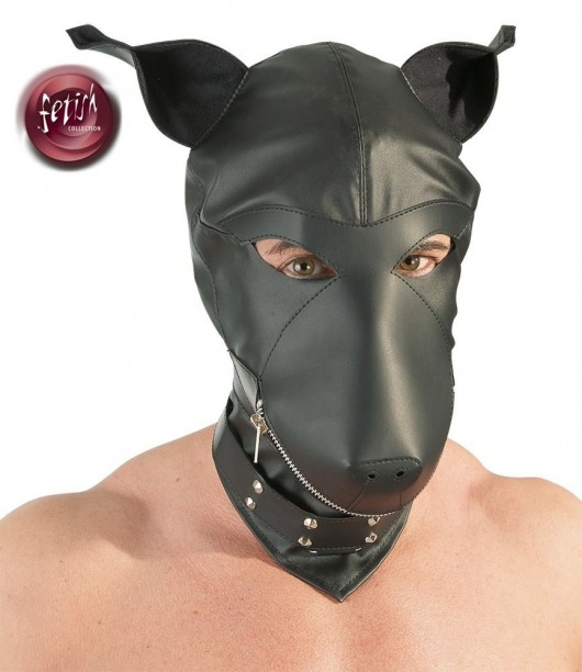 Шлем-маска Dog Mask в виде морды собаки - Orion - купить с доставкой в Вологде