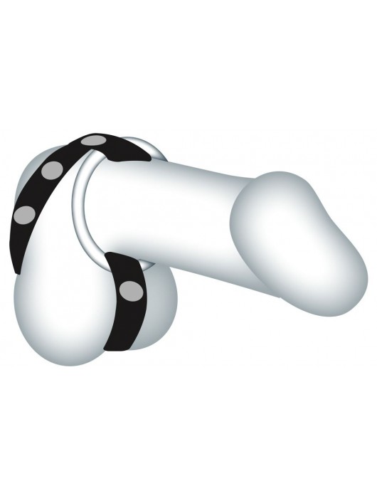 Подхват для мошонки с 3 съемными эрекционными кольцами Leder-Riemen - Orion - в Вологде купить с доставкой