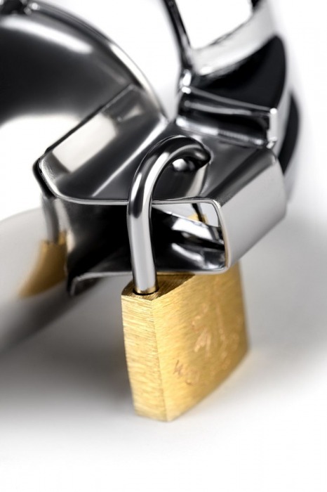 Серебристый мужской пояс верности TOYFA Metal - ToyFa - купить с доставкой в Вологде