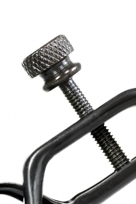 Черно-золотистые зажимы для сосков TOYFA Theatre - ToyFa - купить с доставкой в Вологде