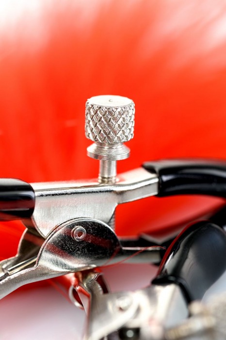 Зажимы для сосков с красным пухом Theatre - ToyFa - купить с доставкой в Вологде