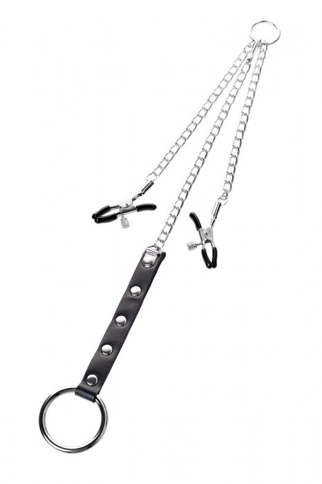 Серебристо-чёрные зажимы для сосков с кольцом для пениса TOYFA Metal - ToyFa - купить с доставкой в Вологде