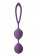 Фиолетовые вагинальные шарики Flirts Kegel Balls - Dream Toys
